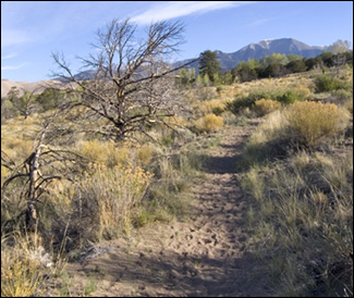 A trail traverses the east side of the dunes.