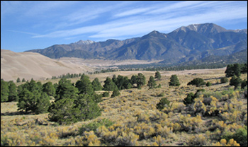 The expanse of the Great Sand Dunes Preserve.