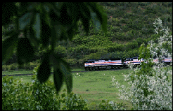 An Amtrak train running through Glenwood Springs.