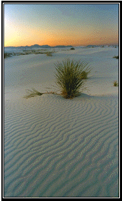 The quiet desert of White Sands in New Mexico.