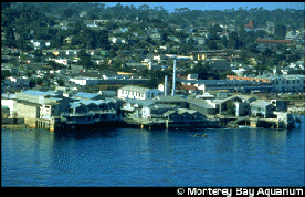 The Monterey Bay Aquarium.