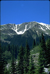 [Bowen Mt. in Arapahoe National Forest]