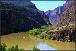 [Brown's Park along the Green River]