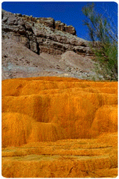 [A canyon wall along the Green River in Utah.]