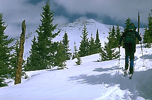 [Skiing the backcountry.]