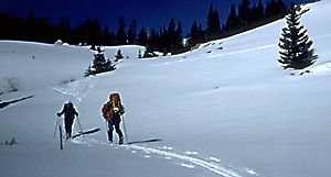 [Skiing the backcountry.]