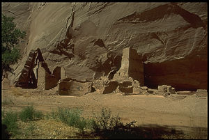 [Antelope House ruin in Canyon de Chelly.]