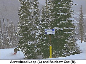 Rainbow Cut or Arrowhead Loop?