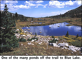 A pond along the Blue Lake trail.