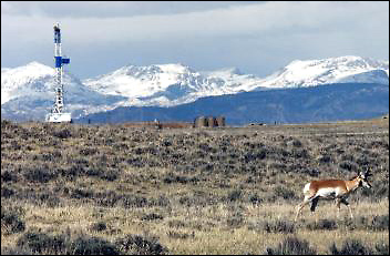 A pronghorn antelope near a natural gas well in Wyoming