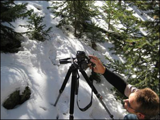 A researcher taking a hemispheric photo of a tree canopy near Grand Lake in northern Colorado.